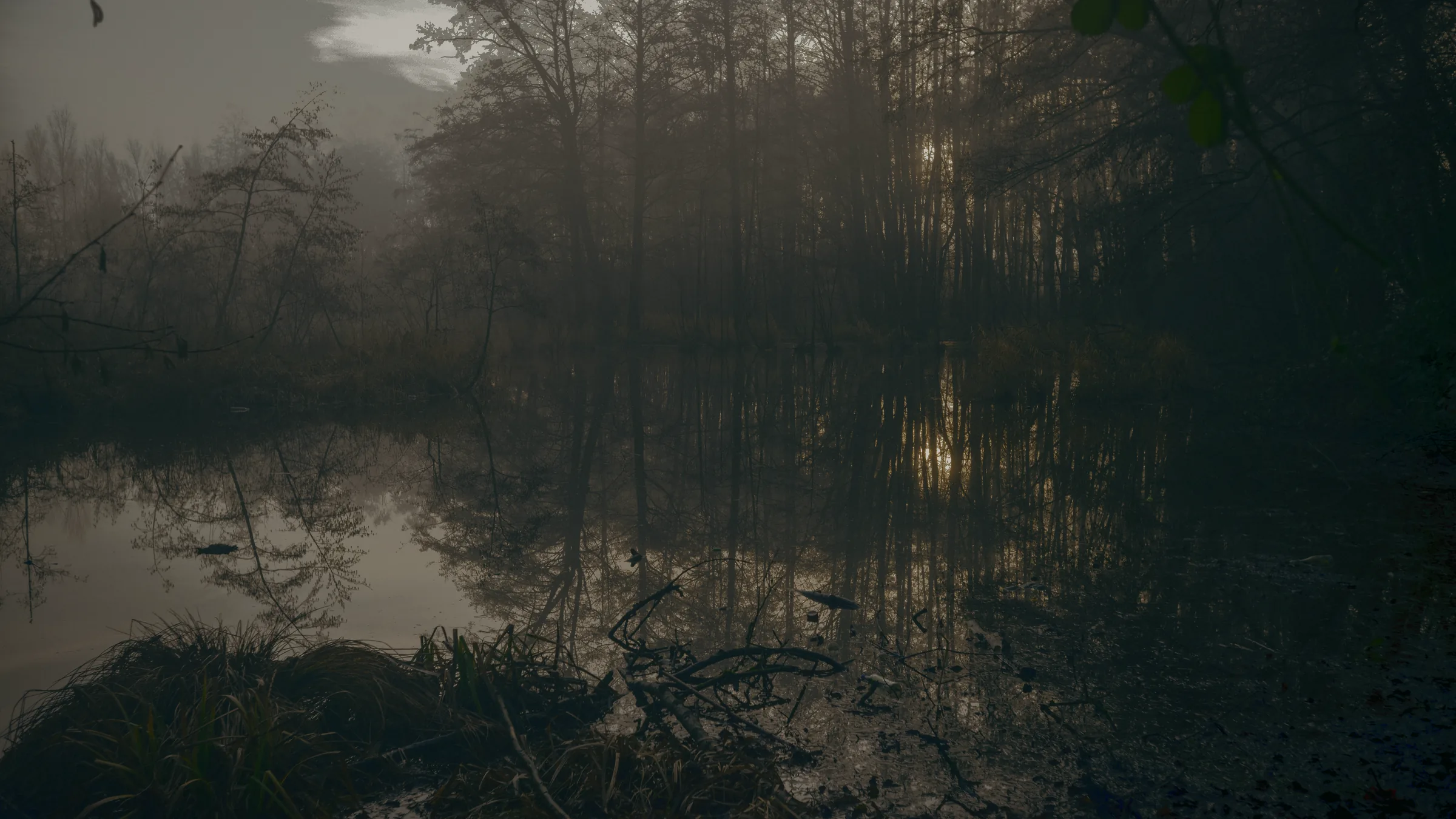 Dead in the Water