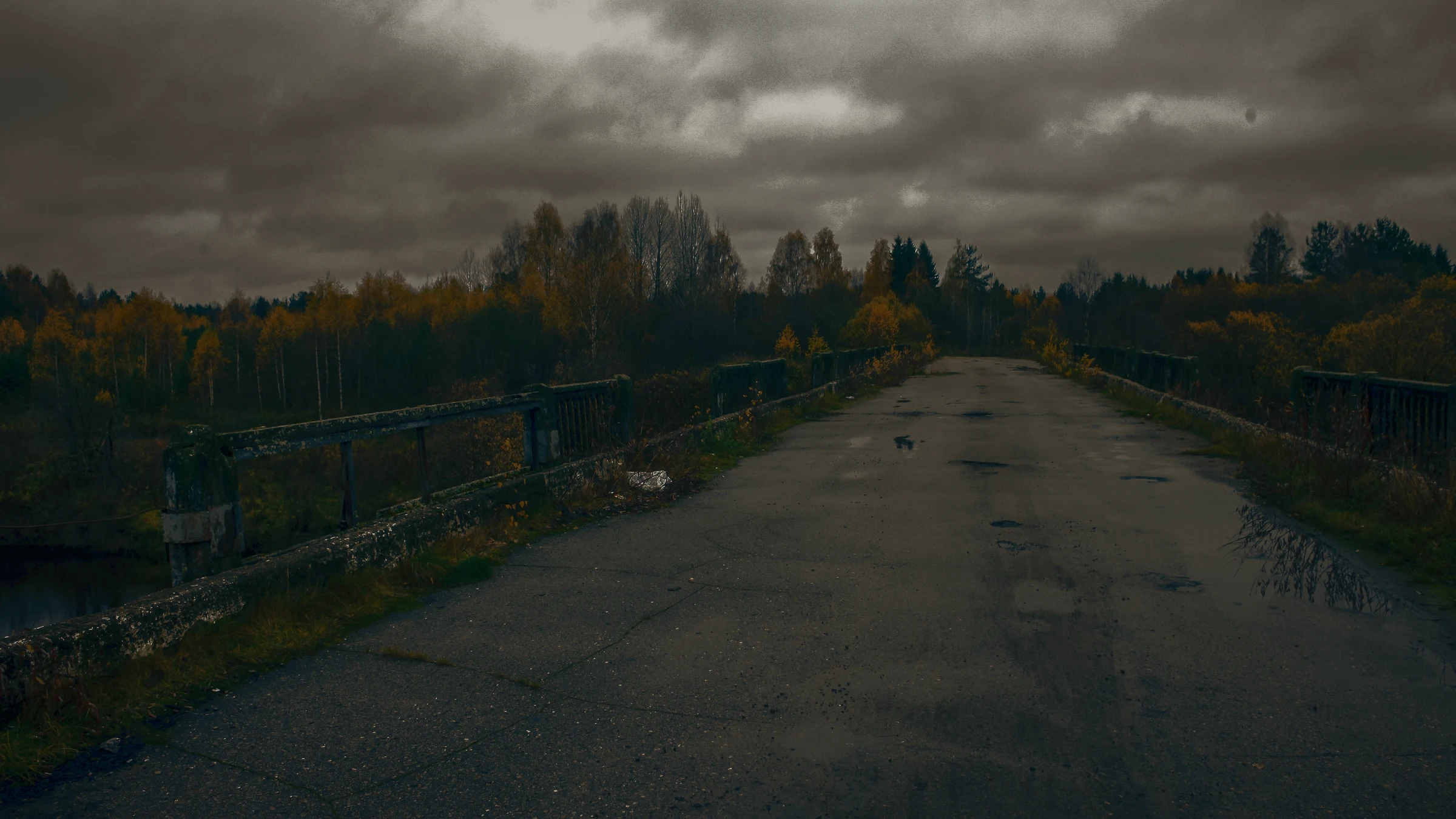 The Loser’s Guide to Surviving the Apocalypse